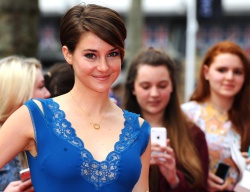 Theo James - Shailene Woodley, Kate Winslet, Theo James - на премьере фильма 'Divergent' at Odeon Leicester Square, Лондон, 30 марта 2014 (918xHQ) Z8tlUGhB