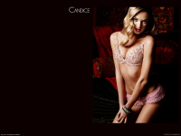 Candice-Swanepoel-1600x1200-wallpapers-v25s3xi327.jpg