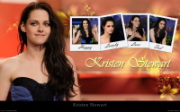 Kristen-Stewart-1920x1200-widescreen-wallpapers-part-1-e2iordryf4.jpg